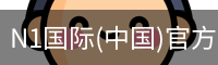 N1国际
